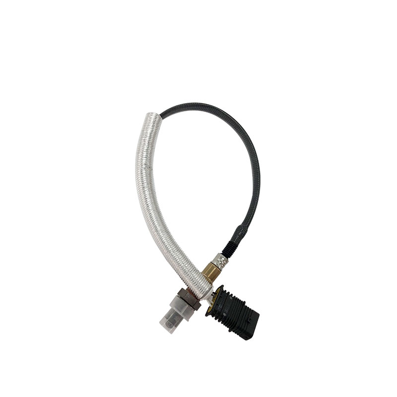 Oxygen-sensor2